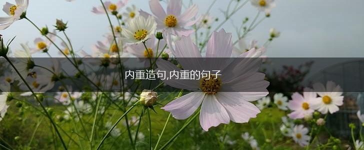 内重造句,内重的句子,第1张