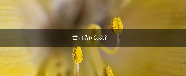重阻造句怎么造,第1张