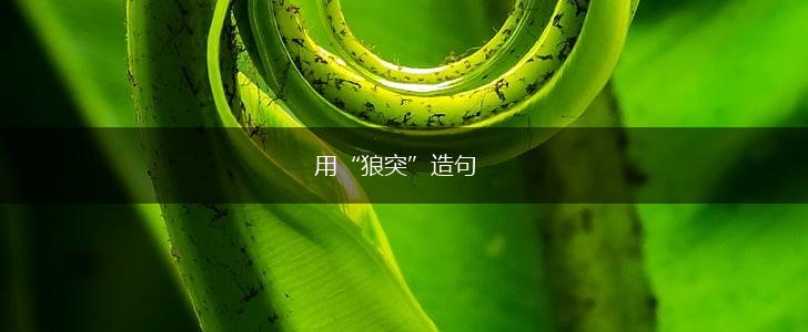 用“狼突”造句,第1张