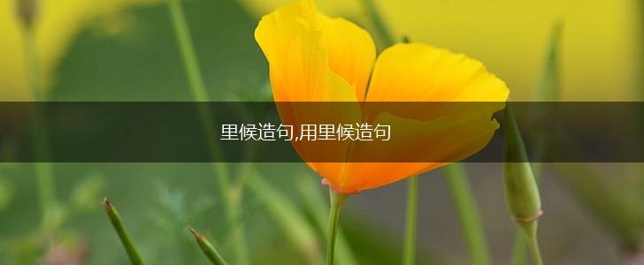 里候造句,用里候造句,第1张