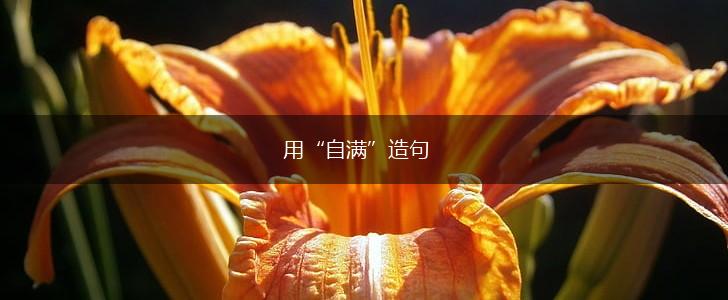 用“自满”造句,第1张
