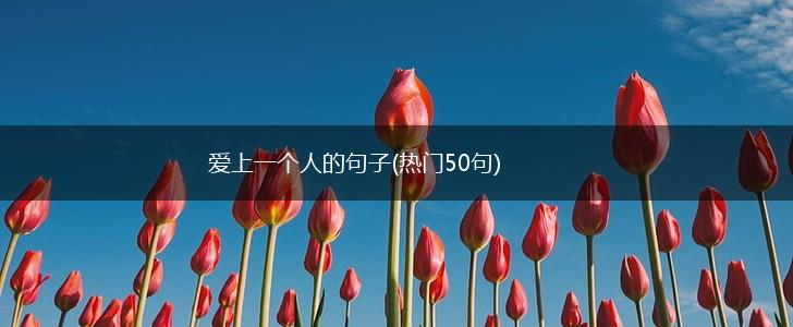 爱上一个人的句子(热门50句),第1张