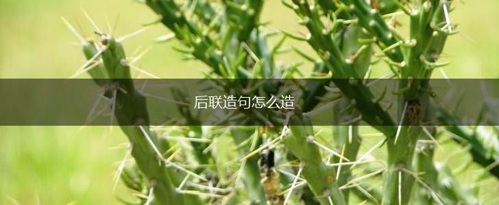 后联造句怎么造,第1张