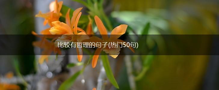 比较有哲理的句子(热门50句),第1张