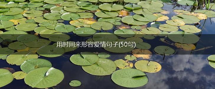 用时间来形容爱情句子(50句),第1张