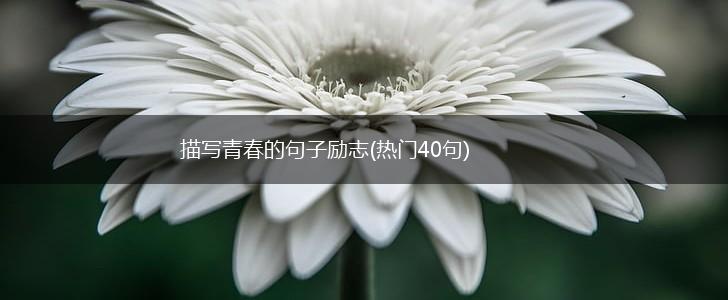 描写青春的句子励志(热门40句),第1张