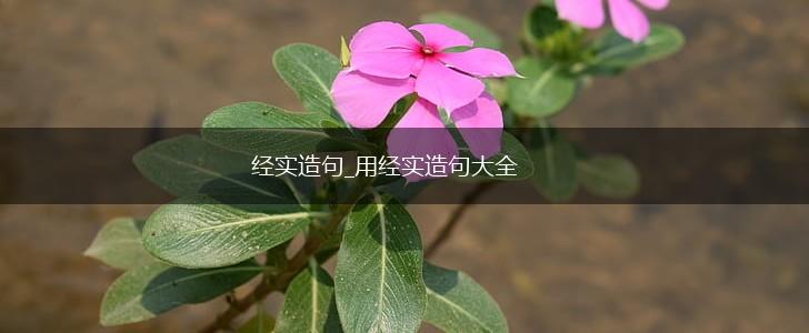 经实造句_用经实造句大全,第1张