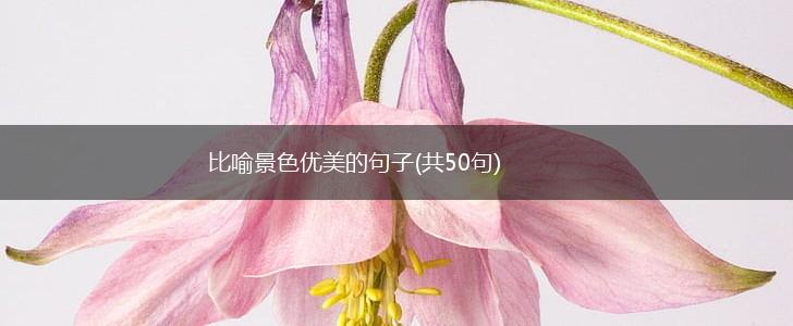 比喻景色优美的句子(共50句),第1张