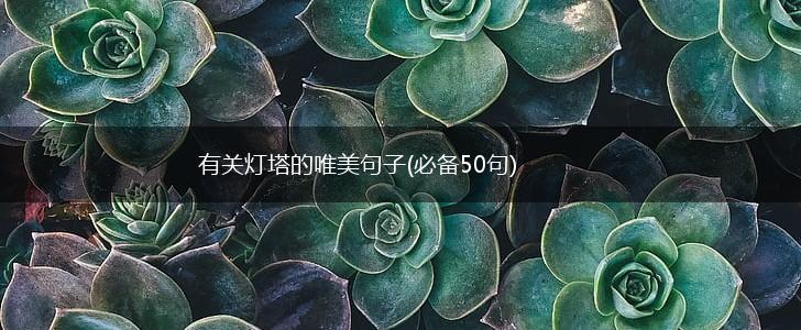 有关灯塔的唯美句子(必备50句),第1张