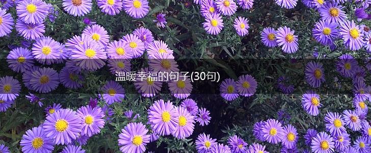 温暖幸福的句子(30句),第1张