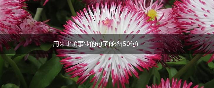 用来比喻事业的句子(必备50句),第1张