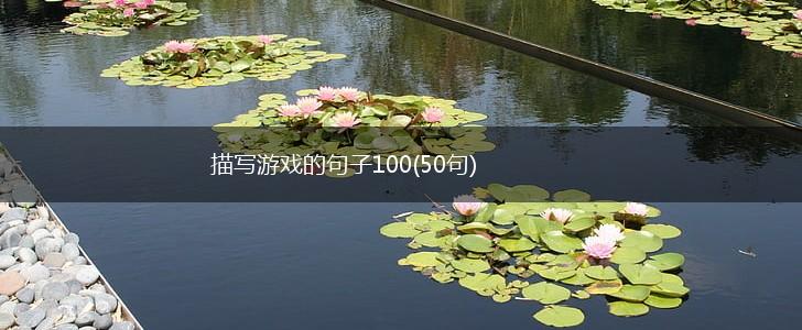 描写游戏的句子100(50句),第1张