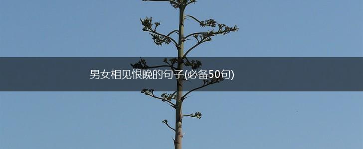 男女相见恨晚的句子(必备50句),第1张