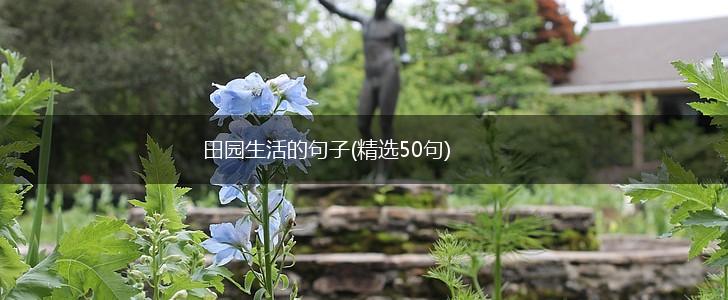 田园生活的句子(精选50句),第1张