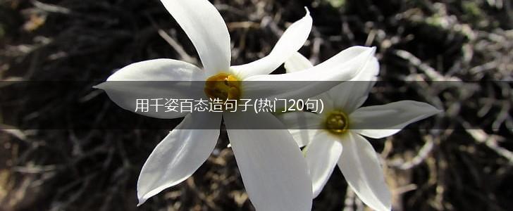 用千姿百态造句子(热门20句),第1张