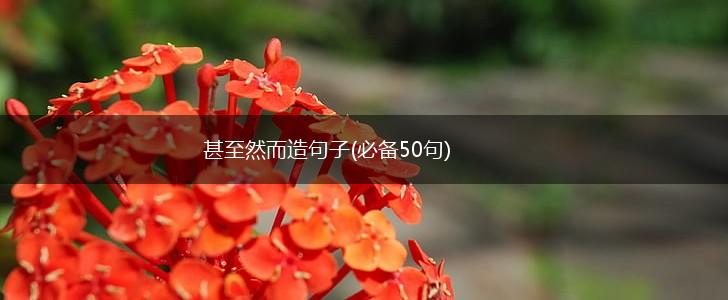 甚至然而造句子(必备50句),第1张