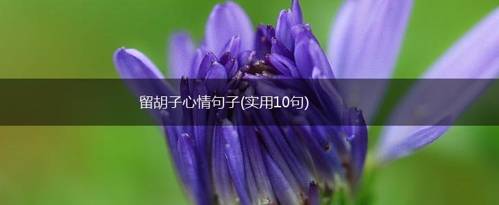留胡子心情句子(实用10句),第1张