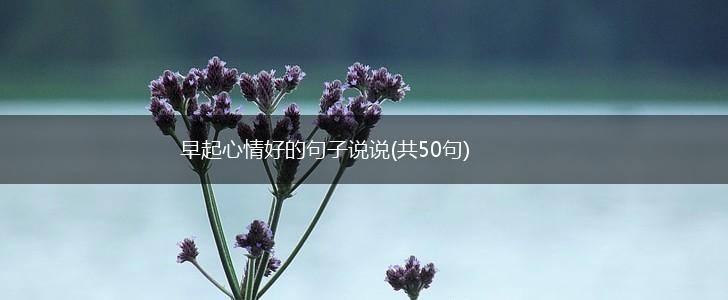 早起心情好的句子说说(共50句),第1张