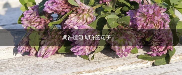 期许造句 期许的句子,第1张