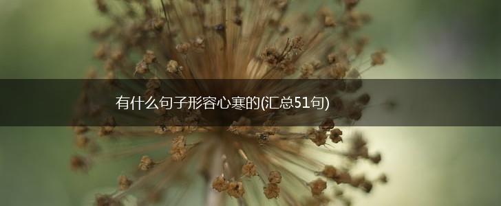 有什么句子形容心寒的(汇总51句),第1张