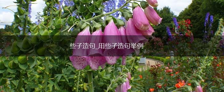 些子造句_用些子造句举例,第1张