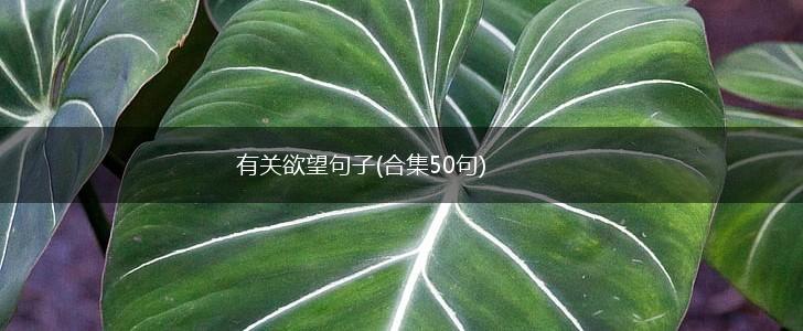 有关欲望句子(合集50句),第1张