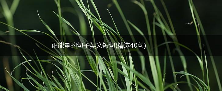 正能量的句子英文短句(精选40句),第1张