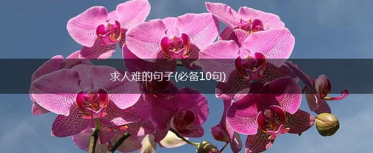 求人难的句子(必备10句),第1张