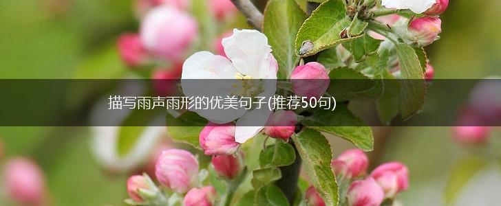 描写雨声雨形的优美句子(推荐50句),第1张