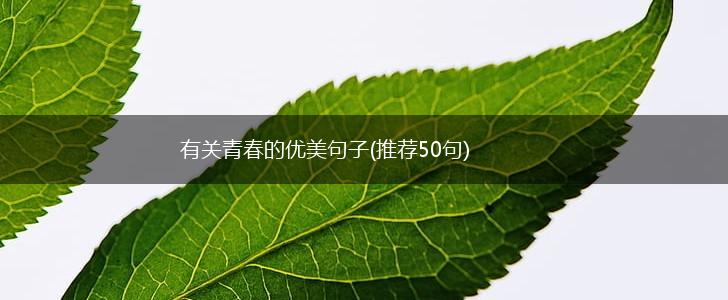 有关青春的优美句子(推荐50句),第1张
