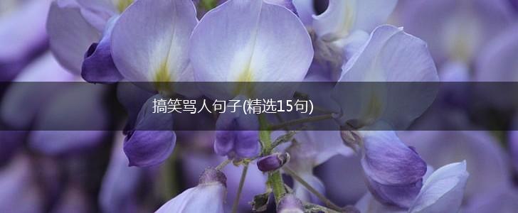 搞笑骂人句子(精选15句),第1张