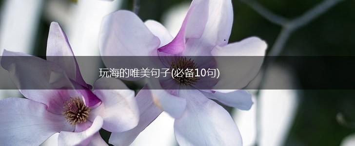 玩海的唯美句子(必备10句),第1张