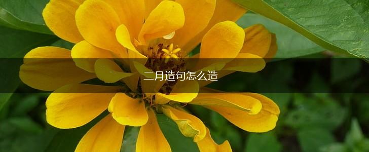 二月造句怎么造,第1张