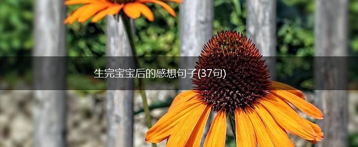 生完宝宝后的感想句子(37句),第1张