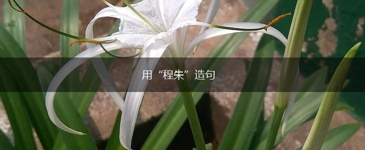 用“程朱”造句,第1张