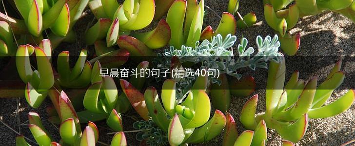 早晨奋斗的句子(精选40句),第1张