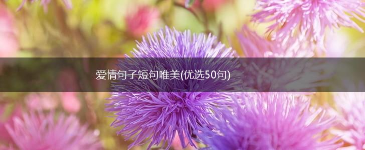 爱情句子短句唯美(优选50句),第1张