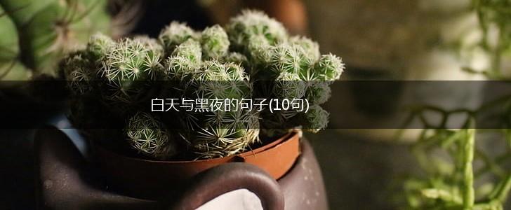 白天与黑夜的句子(10句),第1张