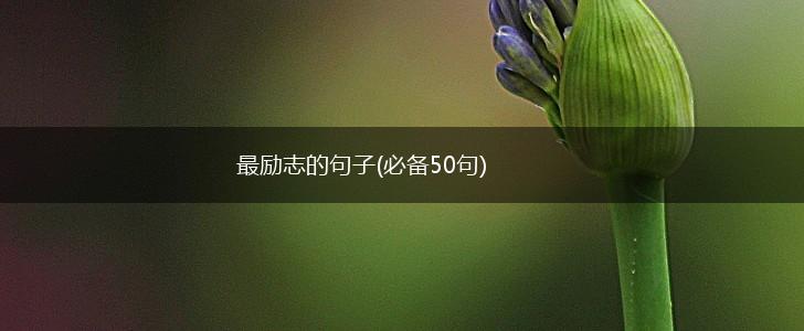 最励志的句子(必备50句),第1张