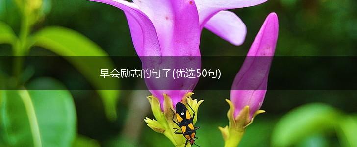 早会励志的句子(优选50句),第1张