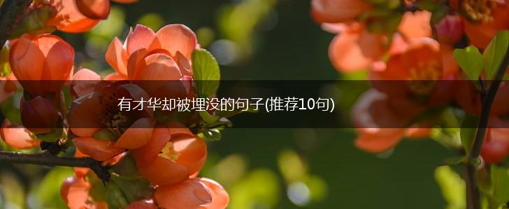 有才华却被埋没的句子(推荐10句),第1张
