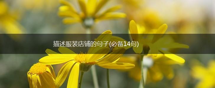 描述服装店铺的句子(必备14句),第1张
