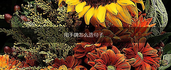 用手牌怎么造句子,第1张