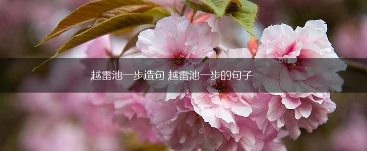 越雷池一步造句 越雷池一步的句子,第1张