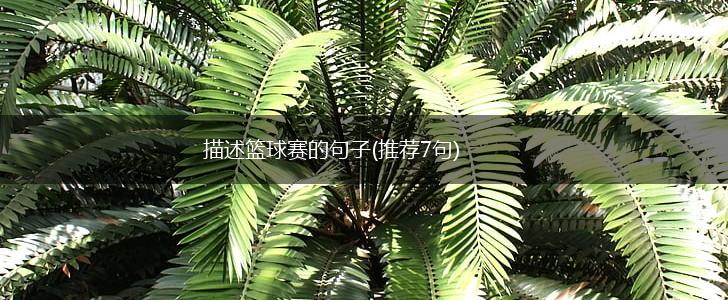 描述篮球赛的句子(推荐7句),第1张