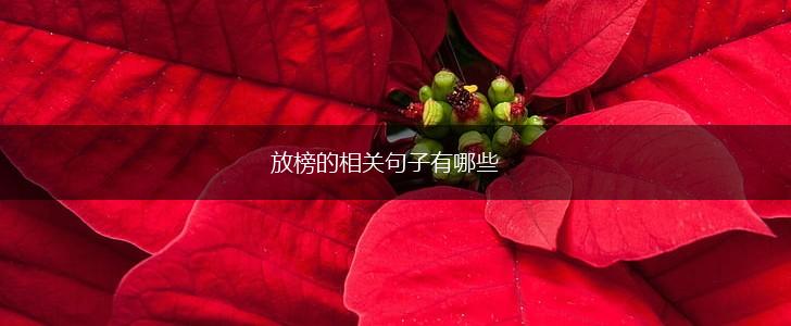放榜的相关句子有哪些,第1张