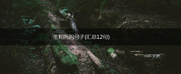 生和死的句子(汇总12句),第1张