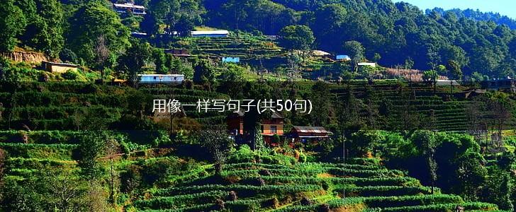 用像一样写句子(共50句),第1张