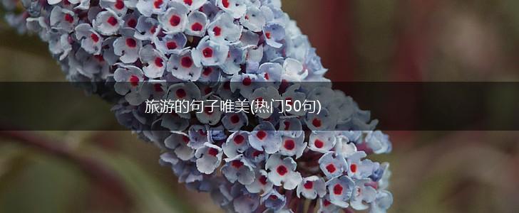 旅游的句子唯美(热门50句),第1张