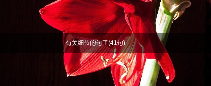 有关细节的句子(41句),第1张